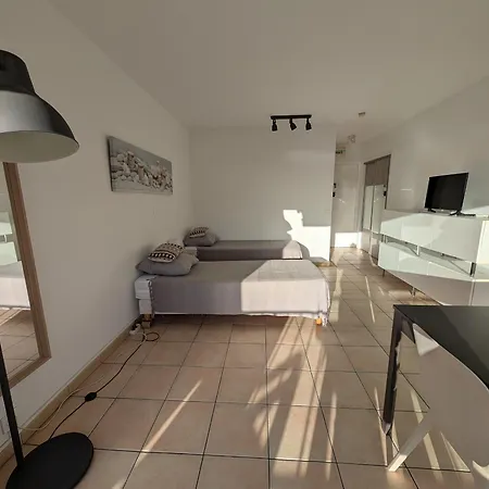 Proche Et Commerces - Climatise, Parking, Wi-fi - Fr-1-466a-12 Apartment